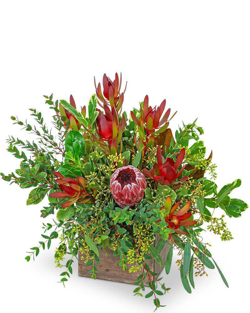 Wild and Lush Protea - The Floratory