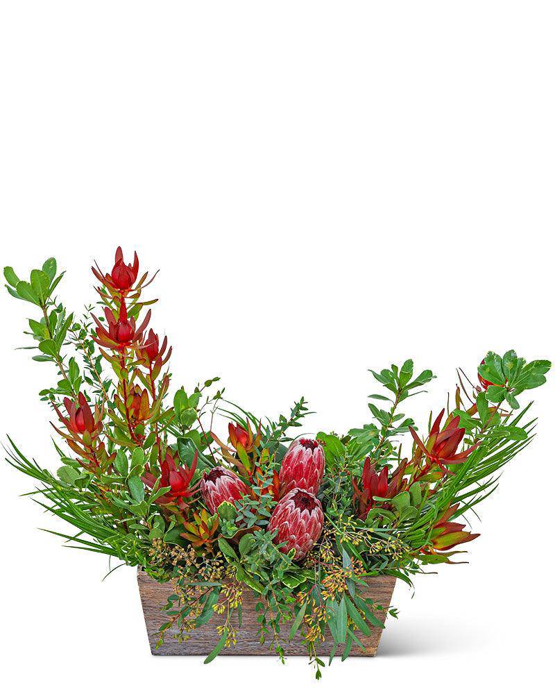 Wild Protea Crescent - The Floratory