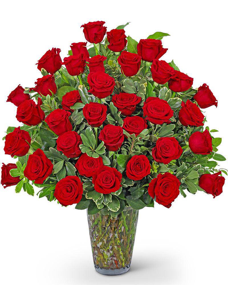 Three Dozen Elegant Red Roses - The Floratory