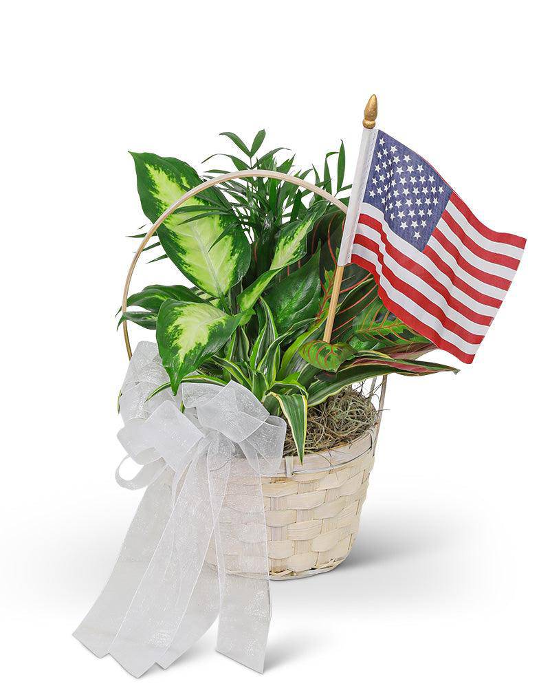 Patriotic Planter - The Floratory
