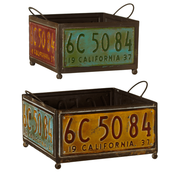 Square License Plate Planter - The Floratory