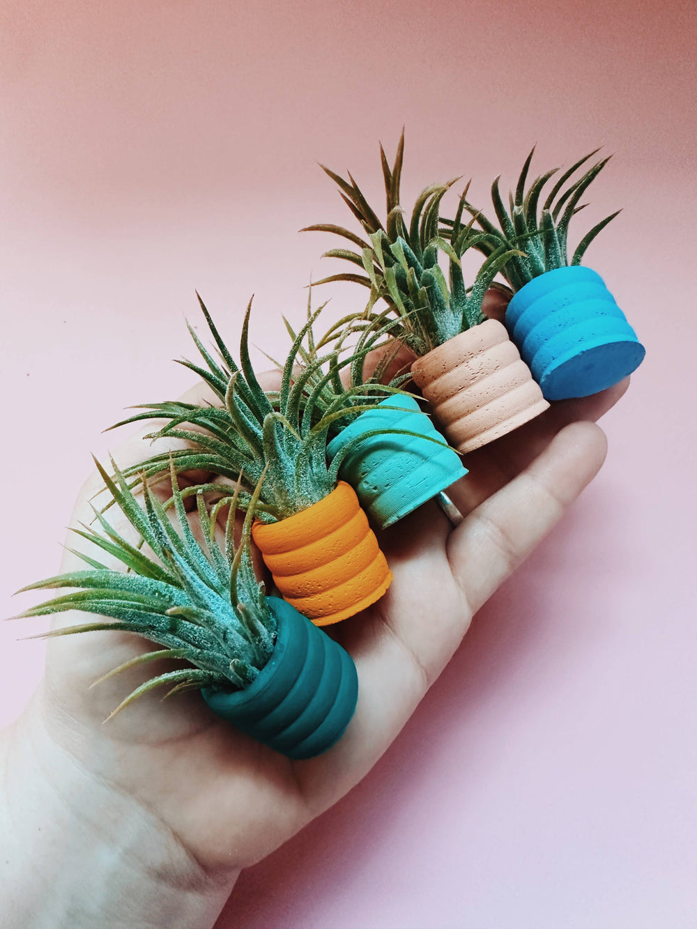 Jewel Green Mini Planter with Air Plant - The Floratory