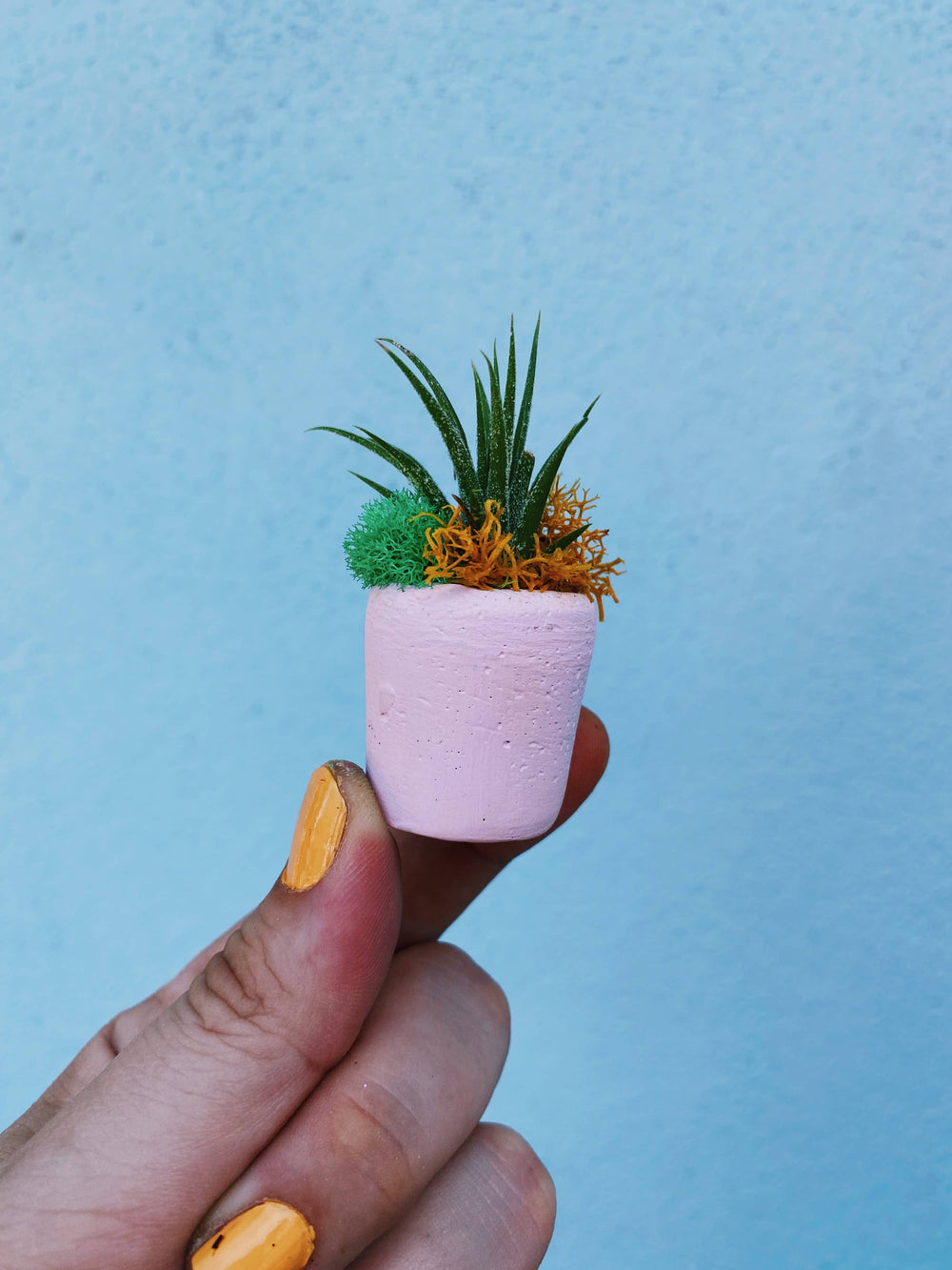 Pink Mini Planter - The Floratory