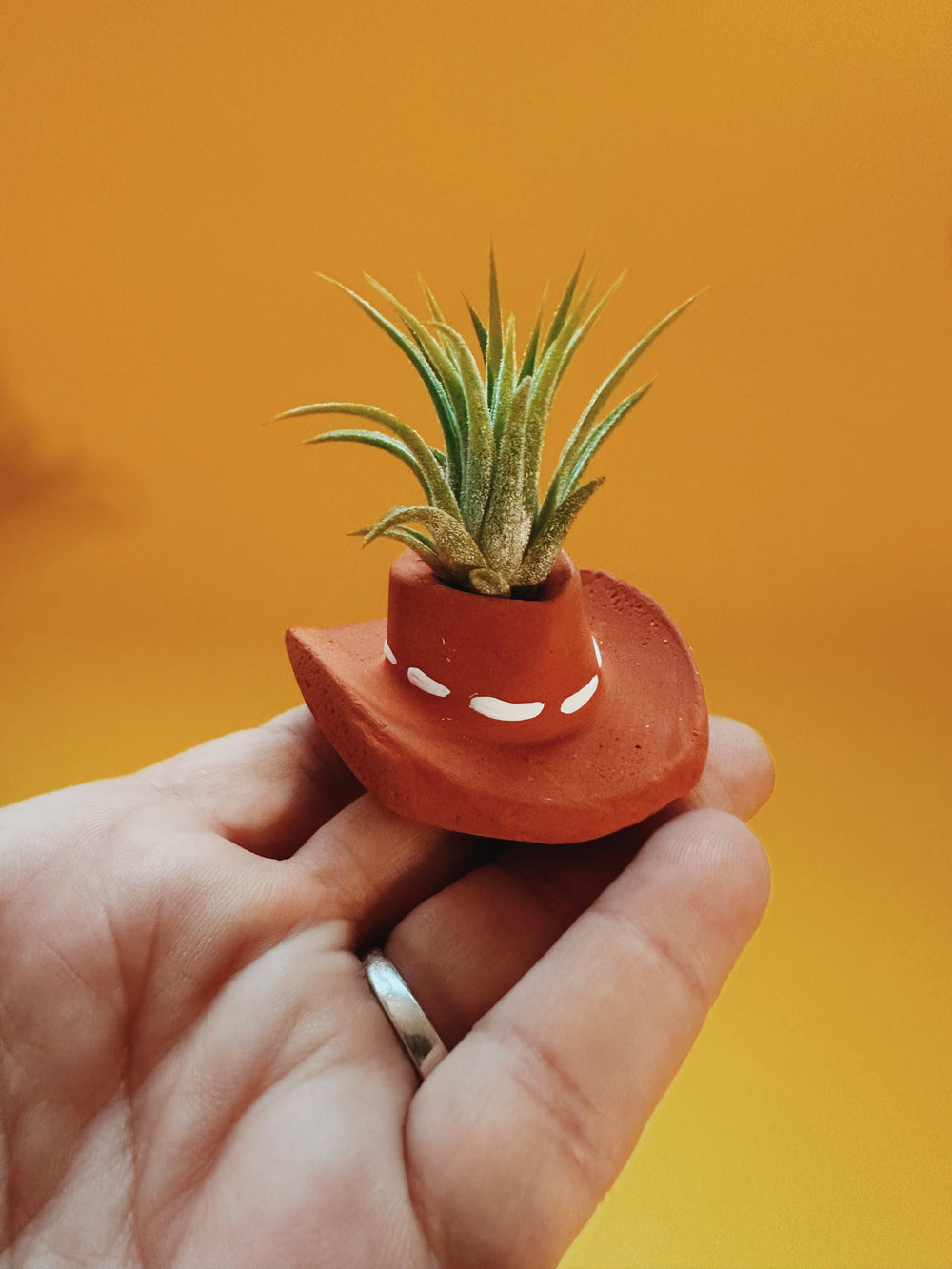 Terracotta Cowboy Hat Mini Planter with Air Plant - The Floratory