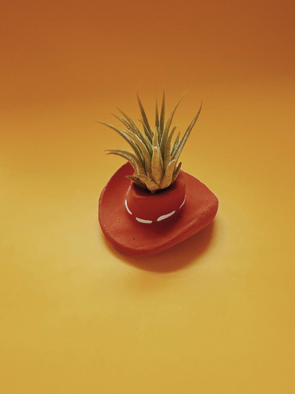 Terracotta Cowboy Hat Mini Planter with Air Plant - The Floratory