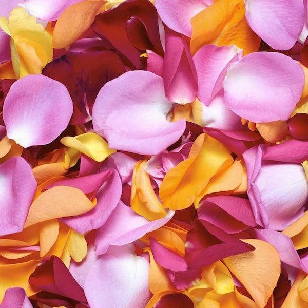 Flower Petal Confetti - The Floratory