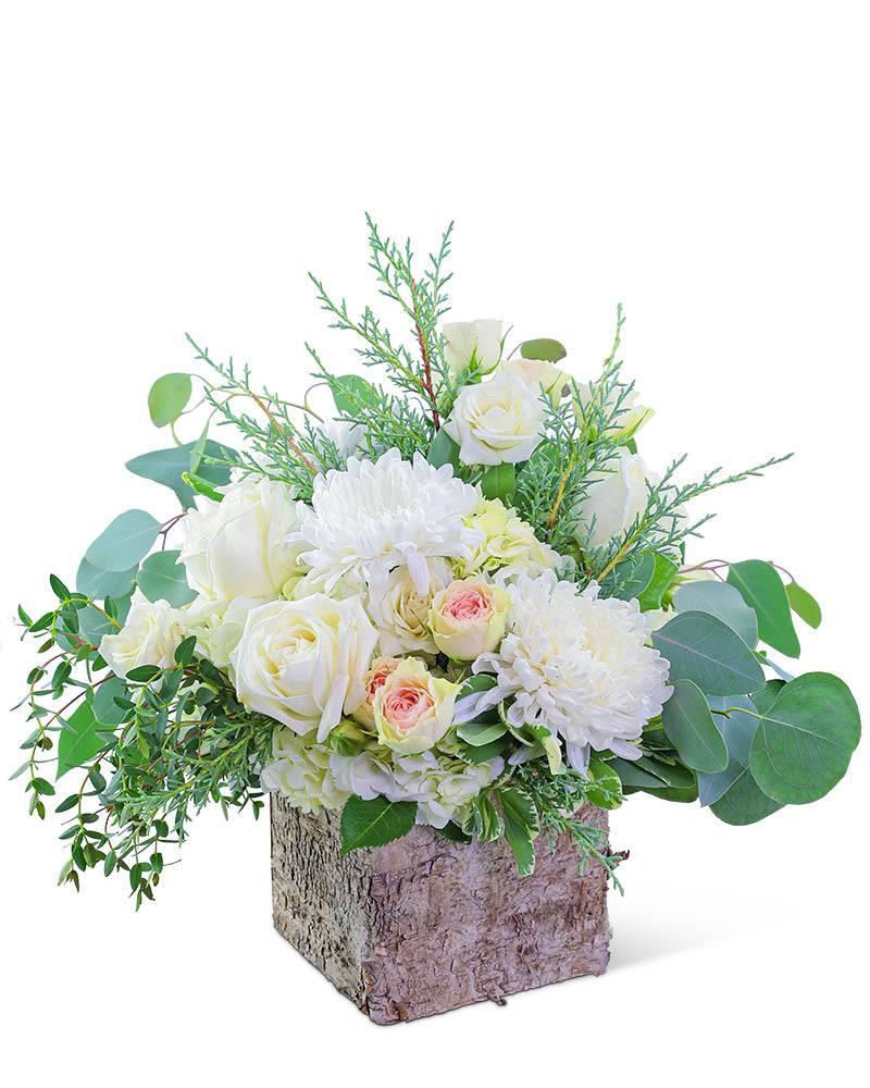 Blushing in Birch - Village Floral Designs and Gifts