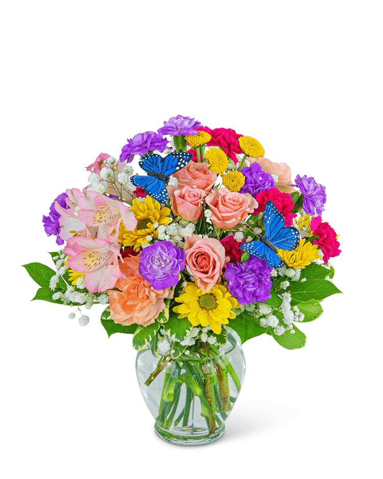 Butterfly Blooms - Village Floral Designs and Gifts
