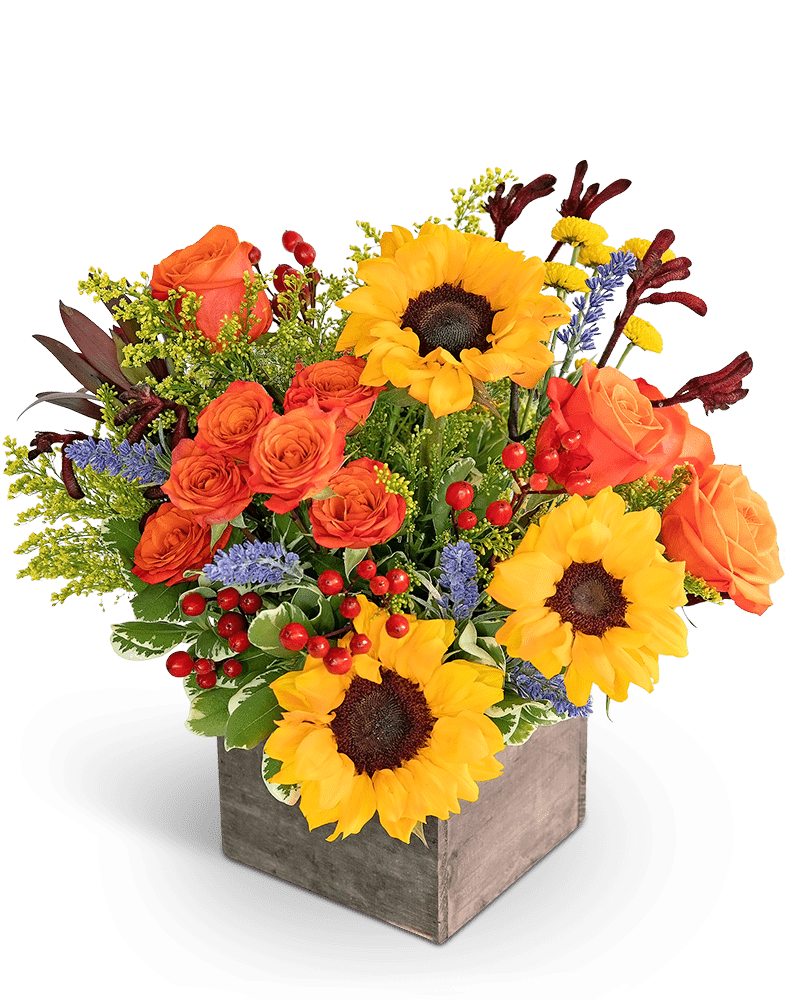 Canyon Blooms - Village Floral Designs and Gifts