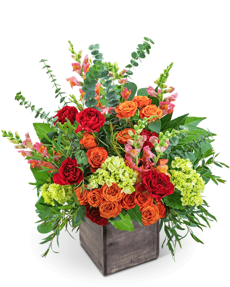 Casablanca Bliss - Village Floral Designs and Gifts