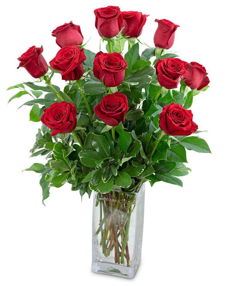 Classic Dozen Red Roses - Village Floral Designs and Gifts