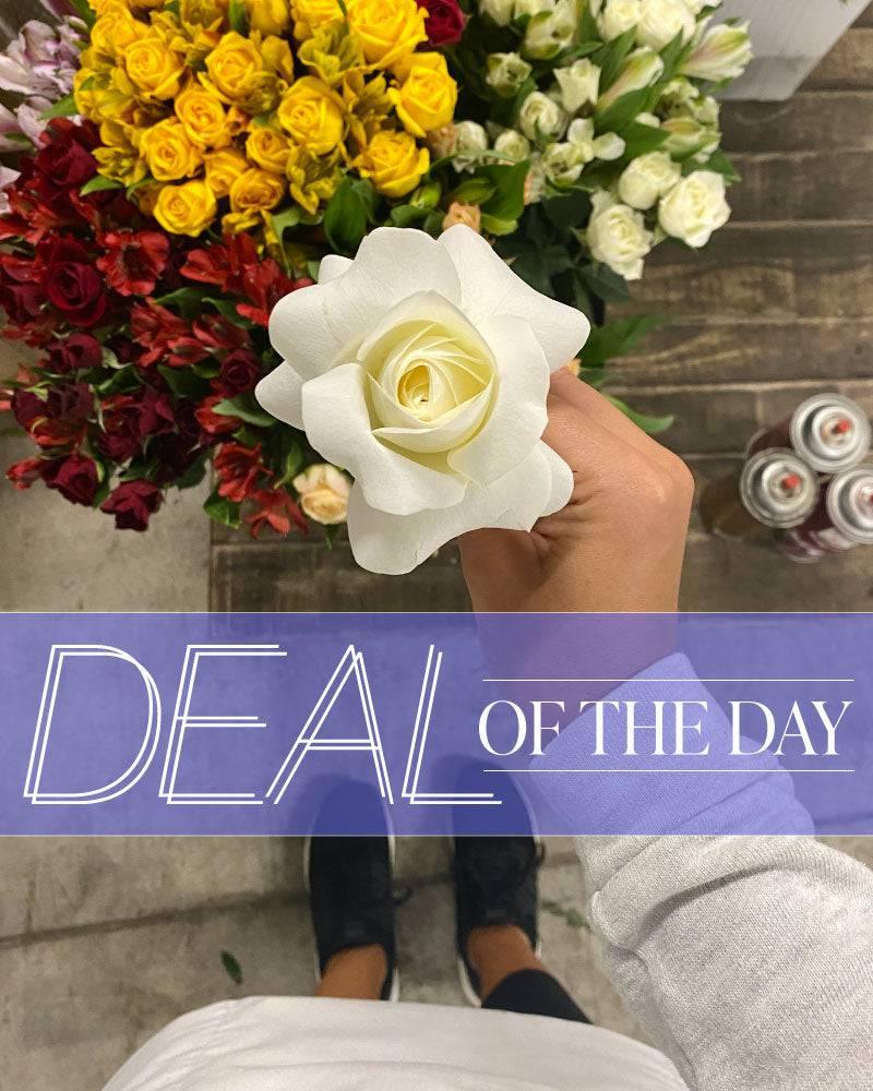 Deal of the Day - Village Floral Designs and Gifts