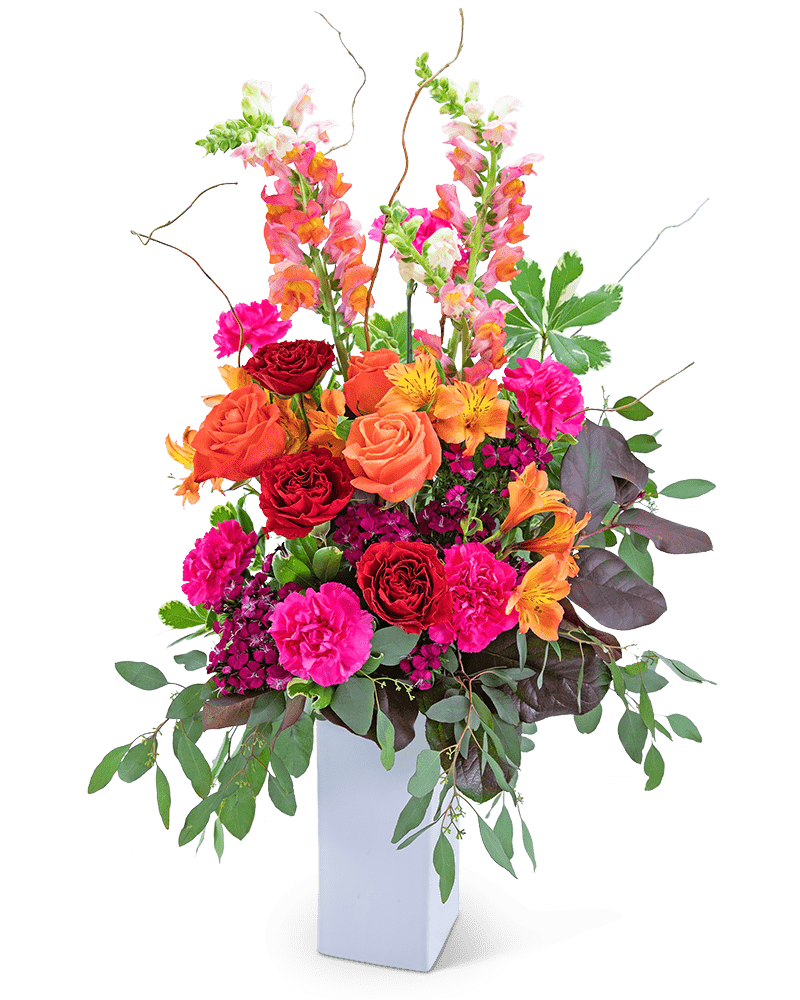 Discover Paradise - Village Floral Designs and Gifts