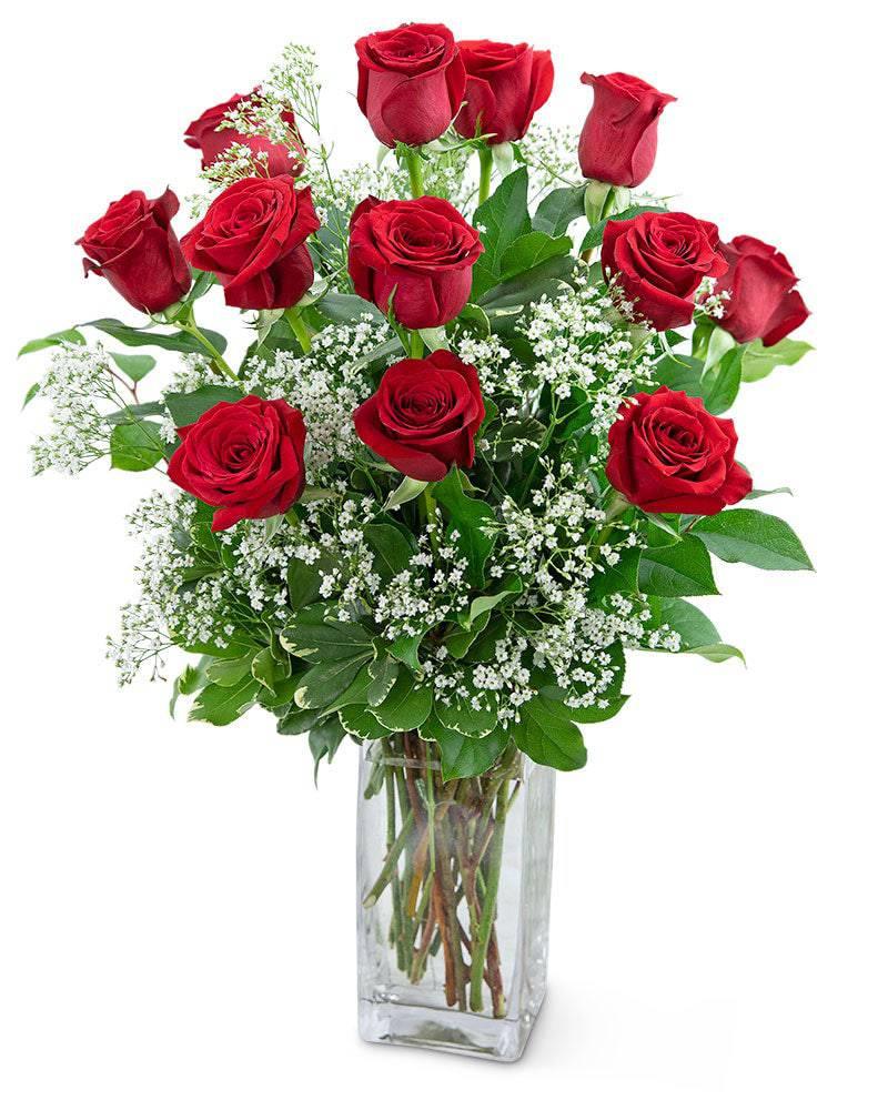 Dozen Roses In A Cloud - Village Floral Designs and Gifts