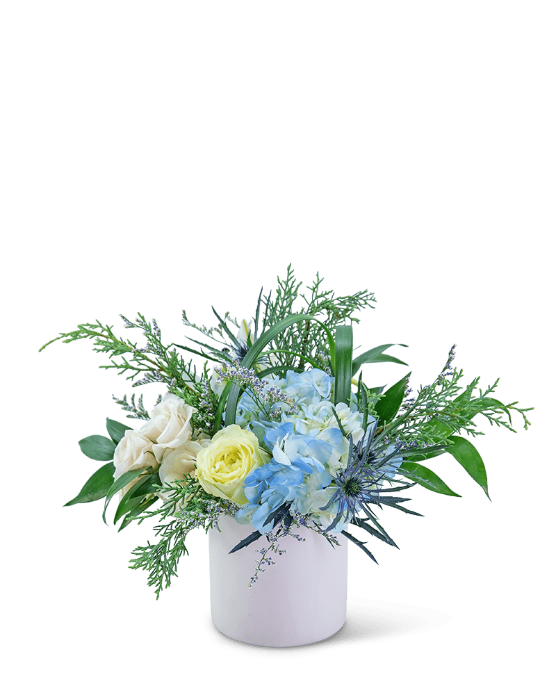Festive Day - Village Floral Designs and Gifts