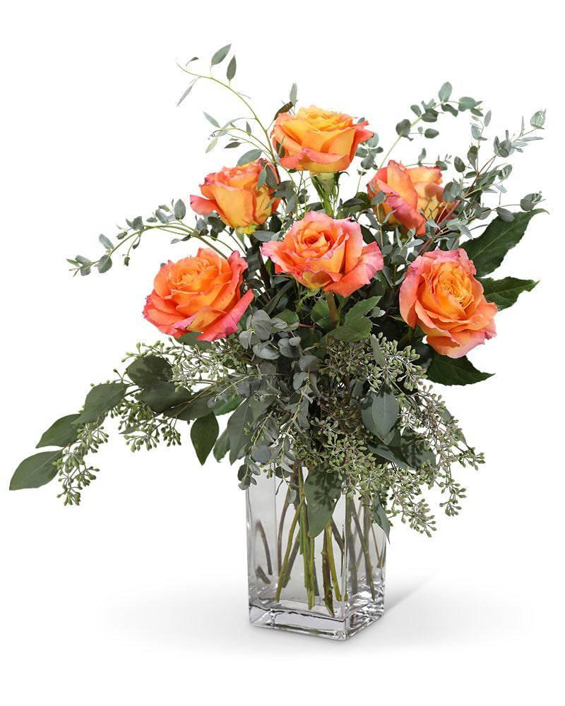 Free Spirit Roses (6) - Village Floral Designs and Gifts