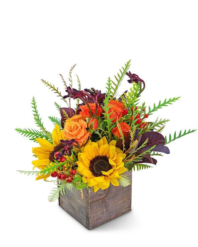 Golden Canyon - Village Floral Designs and Gifts