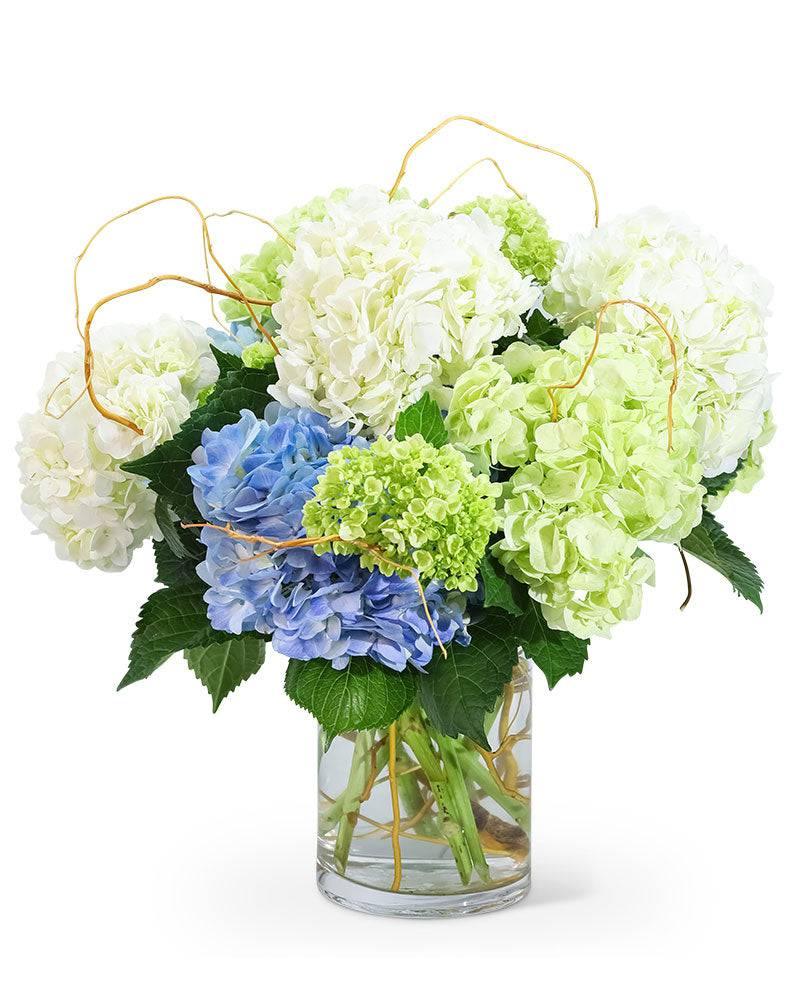 Hello, Hydrangea! - Village Floral Designs and Gifts