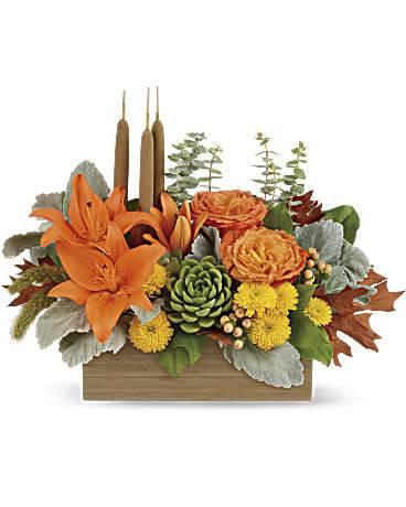 It's Fall Ya'll - Village Floral Designs and Gifts