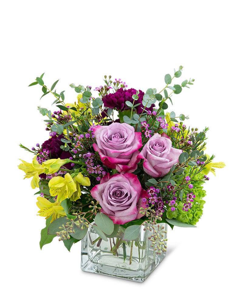 Perfect Plum - Village Floral Designs and Gifts