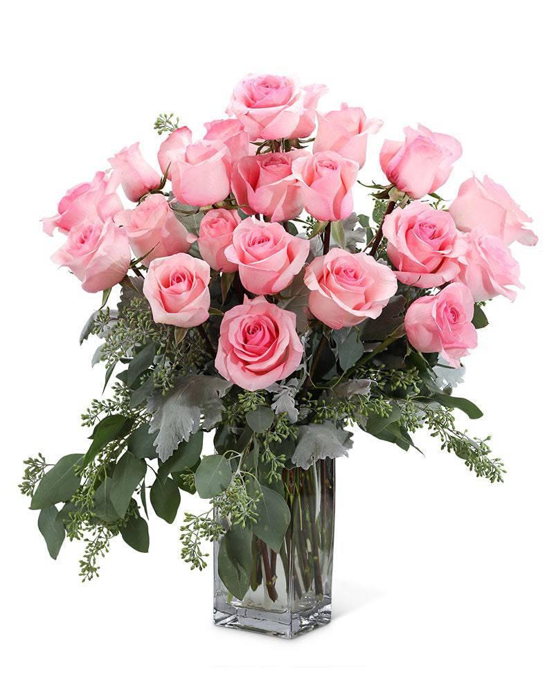 Pink Roses (24) - Village Floral Designs and Gifts