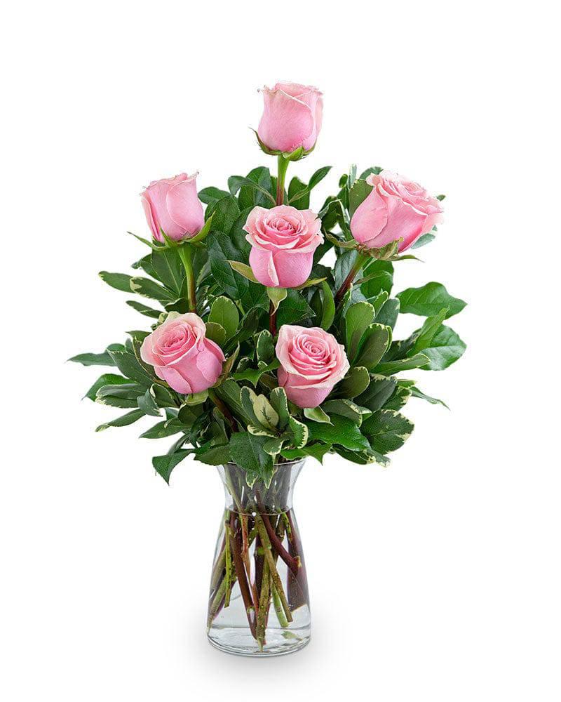 Pink Roses (6) - Village Floral Designs and Gifts