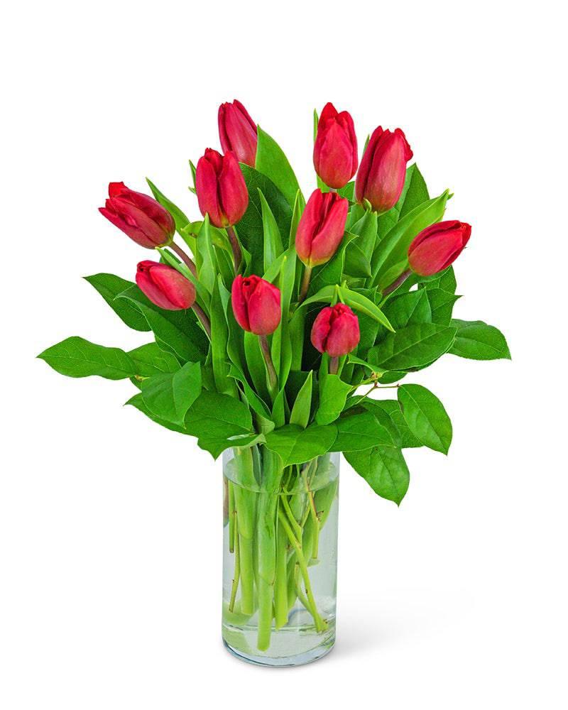 Red Tulips - Village Floral Designs and Gifts