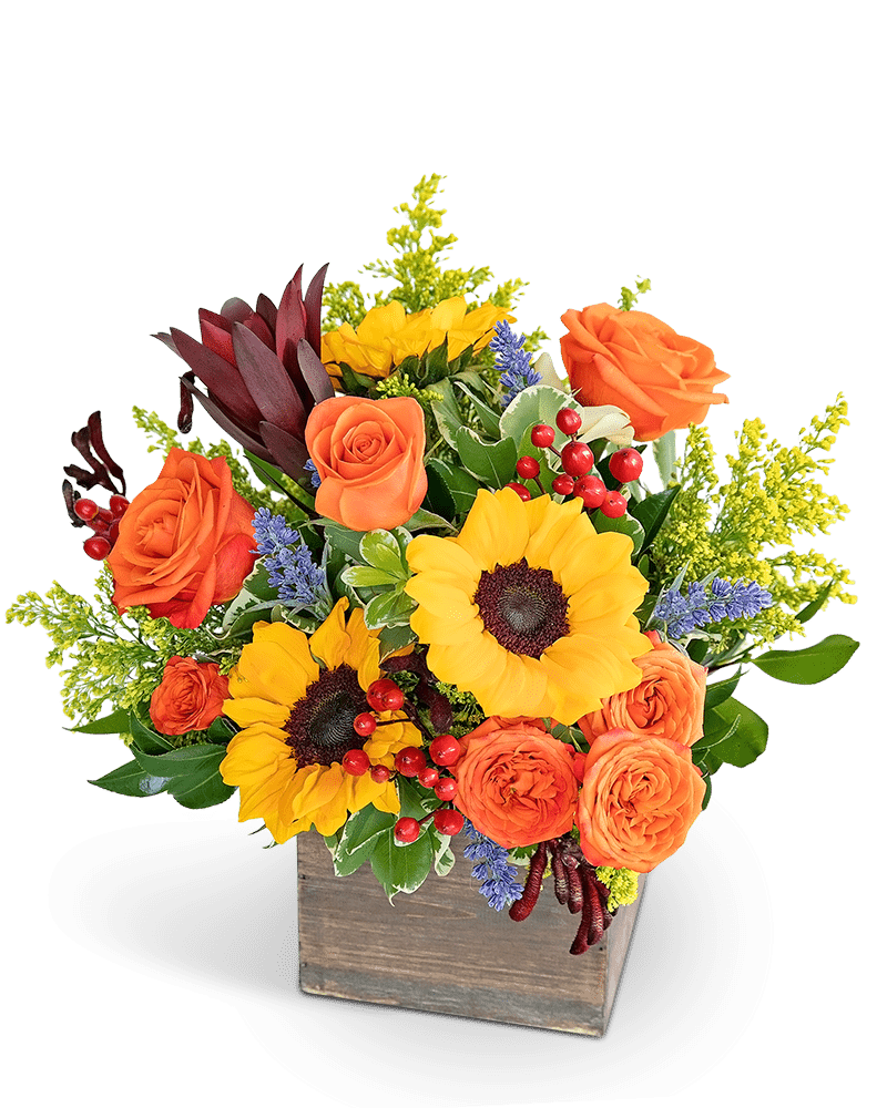 Rosewood Canyon - Village Floral Designs and Gifts