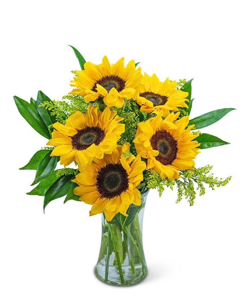 Sprinkle of Sunflowers - Village Floral Designs and Gifts