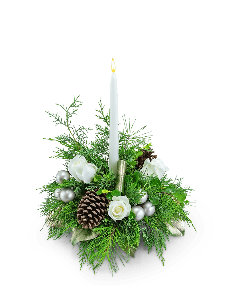 Starshine - Village Floral Designs and Gifts
