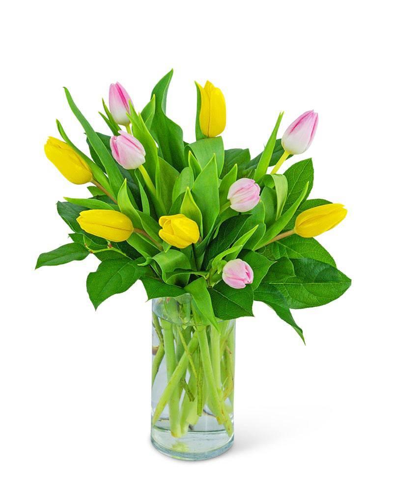 Strawberry Lemonade Tulips - Village Floral Designs and Gifts