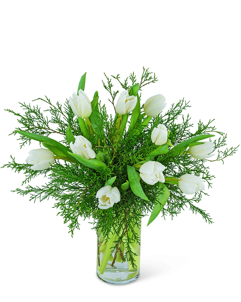 Winter White Tulips - Village Floral Designs and Gifts