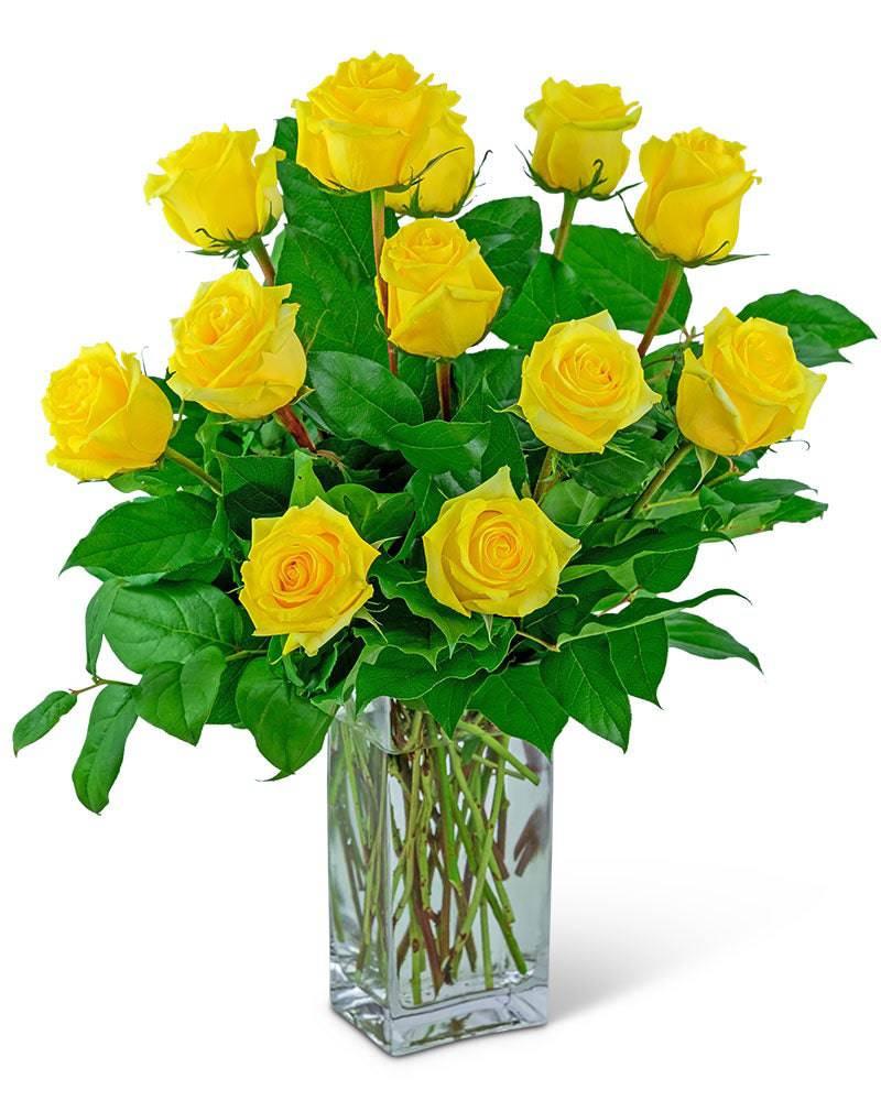 Yellow Roses (12) - Village Floral Designs and Gifts