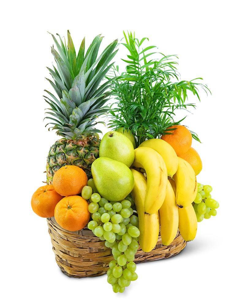 Green Goodness Fruit & Plant Basket - Village Floral Designs and Gifts