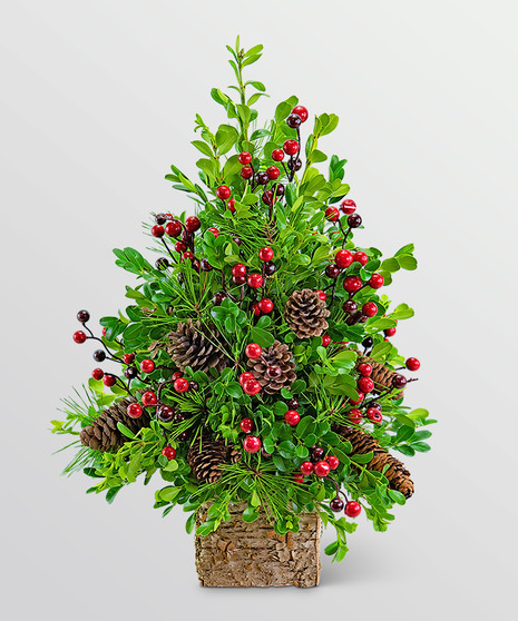 Adorned Boxwood Tree