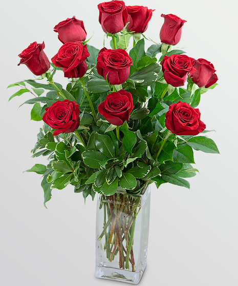 Classic Dozen Red Roses