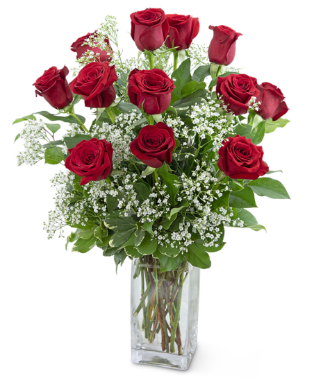 a dozen long stem red roses in a tall rectangular glass container