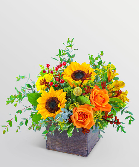 Fall Flowers Delivered Peoria Heights - The Floratory