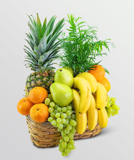 Green Goodness Fruit & Plant Basket