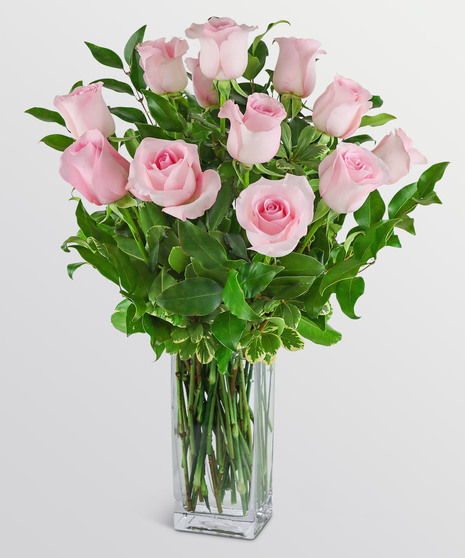 One Dozen Light Pink Roses